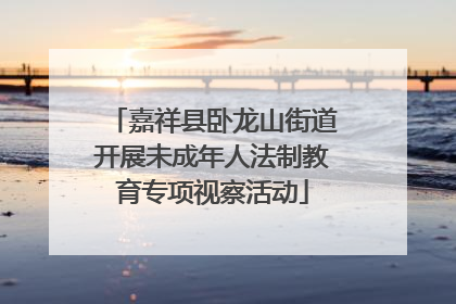 嘉祥县卧龙山街道开展未成年人法制教育专项视察活动