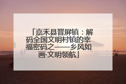 嘉禾县晋屏镇：解码全国文明村镇的幸福密码之——乡风如画·文明领航