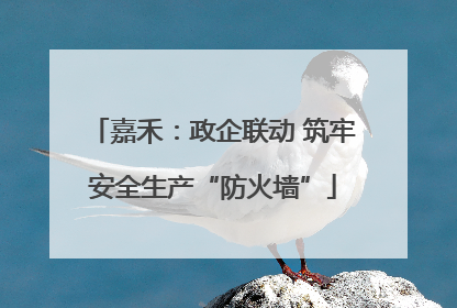 嘉禾：政企联动 筑牢安全生产“防火墙”