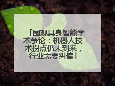 围观具身智能学术争论：机器人技术拐点仍未到来，行业需要纠偏