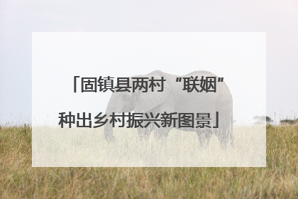 固镇县两村“联姻”种出乡村振兴新图景