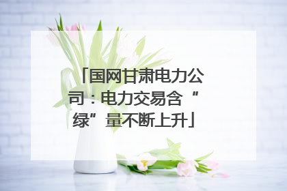 国网甘肃电力公司：电力交易含“绿”量不断上升