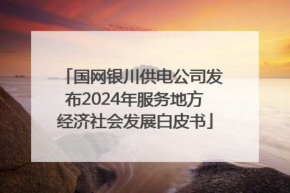 国网银川供电公司发布2024年服务地方经济社会发展白皮书