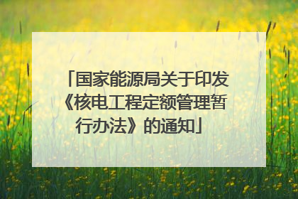 国家能源局关于印发《核电工程定额管理暂行办法》的通知