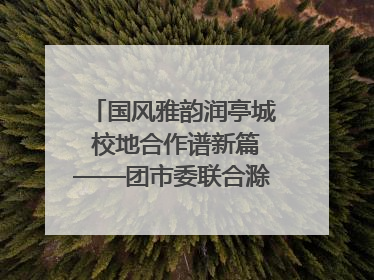 国风雅韵润亭城 校地合作谱新篇——团市委联合滁州城市职业学院助力传统文化“破圈”绽放