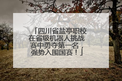 四川省盐亭职校在省级机器人挑战赛中勇夺第一名，强势入围国赛！