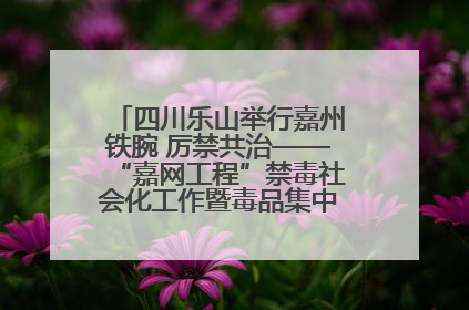 四川乐山举行嘉州铁腕 厉禁共治——“嘉网工程”禁毒社会化工作暨毒品集中销毁启动仪式