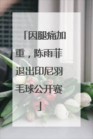 因腿痛加重，陈雨菲退出印尼羽毛球公开赛