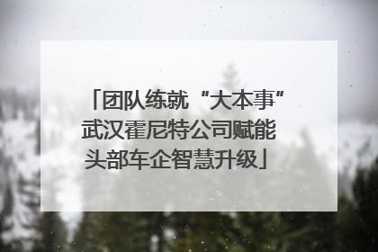 团队练就“大本事” 武汉霍尼特公司赋能头部车企智慧升级