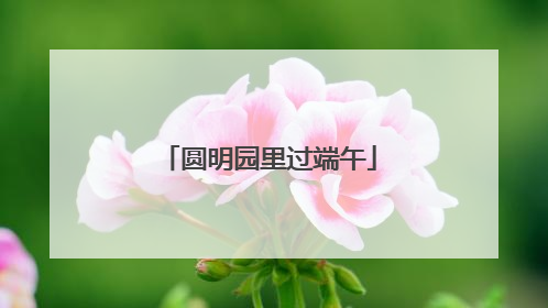 圆明园里过端午