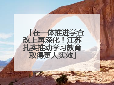 在一体推进学查改上再深化！江苏扎实推动学习教育取得更大实效