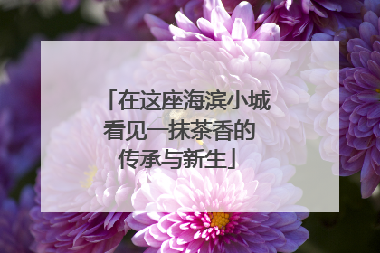 在这座海滨小城 看见一抹茶香的传承与新生