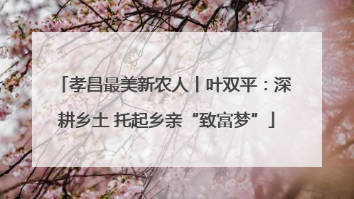 孝昌最美新农人丨叶双平：深耕乡土 托起乡亲“致富梦”