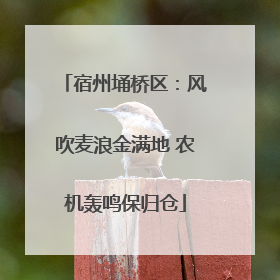 宿州埇桥区：风吹麦浪金满地 农机轰鸣保归仓