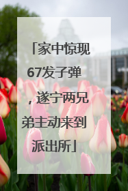 家中惊现67发子弹，遂宁两兄弟主动来到派出所