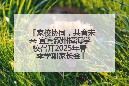 家校协同，共育未来 宜宾叙州樟海学校召开2025年春季学期家长会