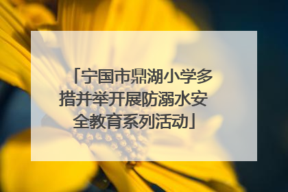宁国市鼎湖小学多措并举开展防溺水安全教育系列活动