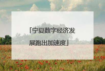 宁夏数字经济发展跑出加速度