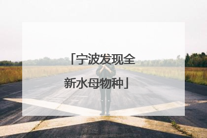 宁波发现全新水母物种