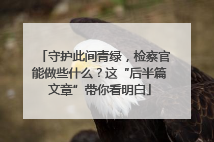守护此间青绿，检察官能做些什么？这“后半篇文章”带你看明白