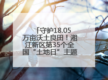 守护18.05万亩沃土良田！湘江新区第35个全国“土地日”主题宣传活动看点多