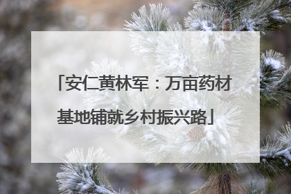 安仁黄林军：万亩药材基地铺就乡村振兴路
