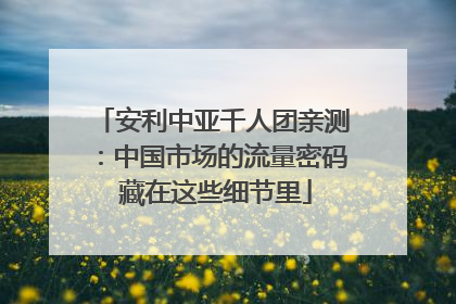 安利中亚千人团亲测：中国市场的流量密码 藏在这些细节里