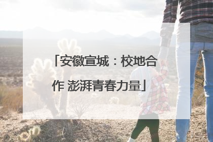 安徽宣城：校地合作 澎湃青春力量