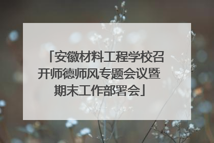 安徽材料工程学校召开师德师风专题会议暨期末工作部署会