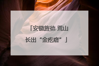 安徽旌德 荒山长出“金疙瘩”