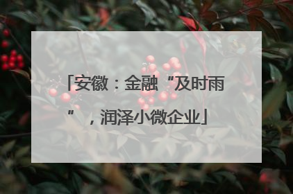 安徽：金融“及时雨”，润泽小微企业