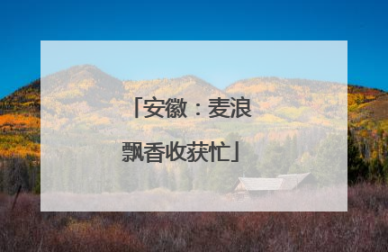 安徽：麦浪飘香收获忙