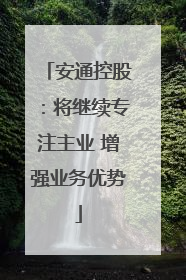 安通控股：将继续专注主业 增强业务优势