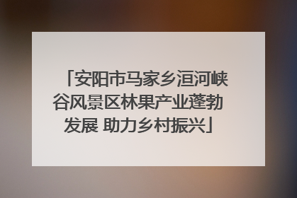 安阳市马家乡洹河峡谷风景区林果产业蓬勃发展 助力乡村振兴