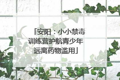 安阳：小小禁毒训练营护航青少年远离药物滥用