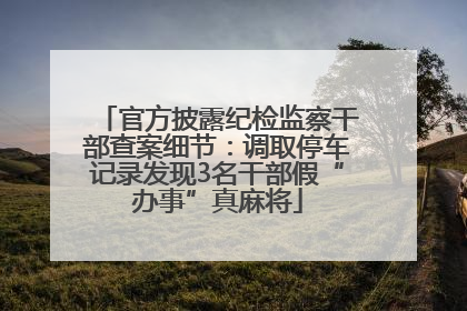 官方披露纪检监察干部查案细节：调取停车记录发现3名干部假“办事”真麻将