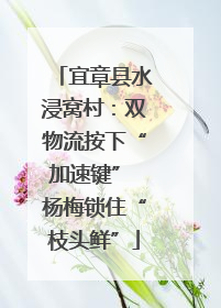 宜章县水浸窝村：双物流按下“加速键” 杨梅锁住“枝头鲜”