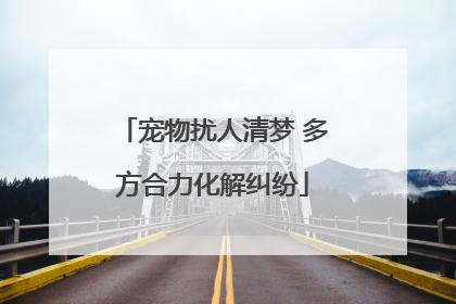 宠物扰人清梦 多方合力化解纠纷