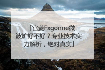 宫菱Fxgonne微波炉好不好？专业技术实力解析，绝对真实