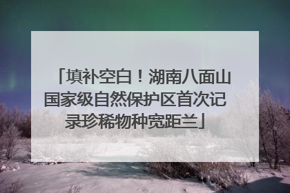 填补空白！湖南八面山国家级自然保护区首次记录珍稀物种宽距兰