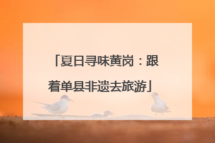 夏日寻味黄岗：跟着单县非遗去旅游