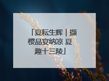 夏耘生辉｜撷樱品宴纳凉 夏趣十三陵