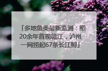 多地鱼类最新监测：鳤20余年首现赣江，泸州一网捞起67条长江鲟
