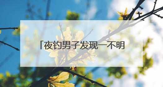夜钓男子发现一不明活物趴在岸边，用竹竿将其拨入水中后，它又爬回岸边……