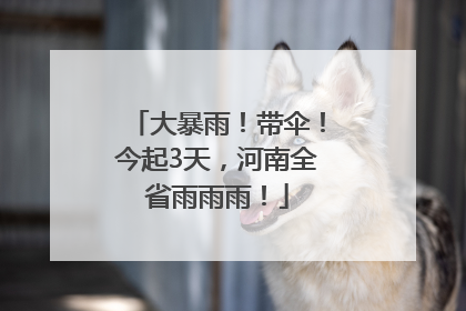 大暴雨！带伞！今起3天，河南全省雨雨雨！