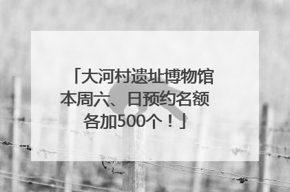 大河村遗址博物馆本周六、日预约名额各加500个！