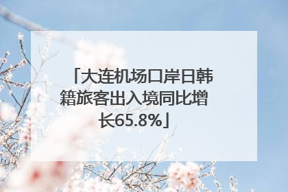 大连机场口岸日韩籍旅客出入境同比增长65.8%