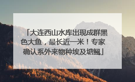 大连西山水库出现成群黑色大鱼，最长近一米！专家确认系外来物种埃及塘鲺