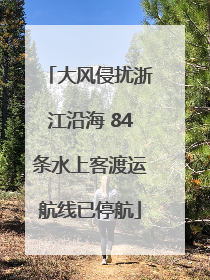 大风侵扰浙江沿海 84条水上客渡运航线已停航