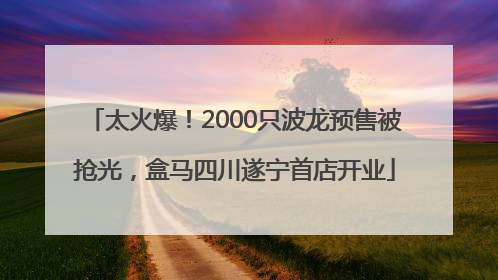太火爆！2000只波龙预售被抢光，盒马四川遂宁首店开业